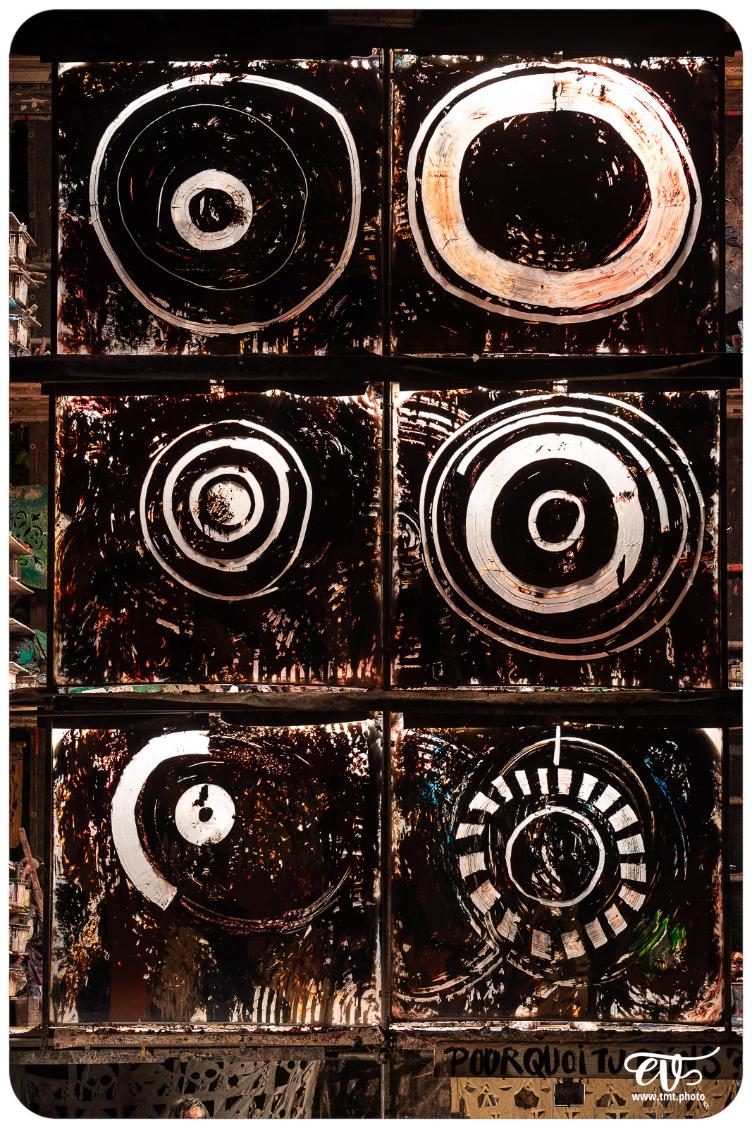 TMTPHOTO LA TORTUE DE GAUGUIN 076